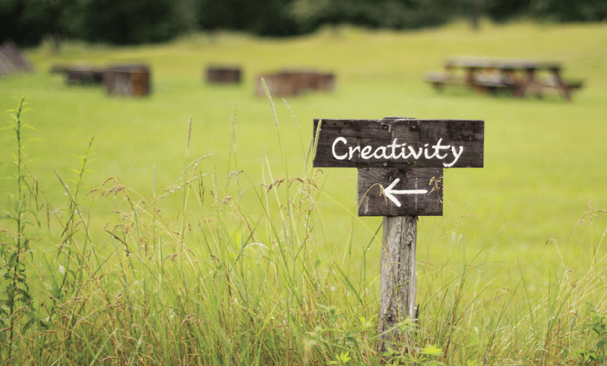 LAB. CREATIVITÀ IN NATURA: al CeRebration Fest