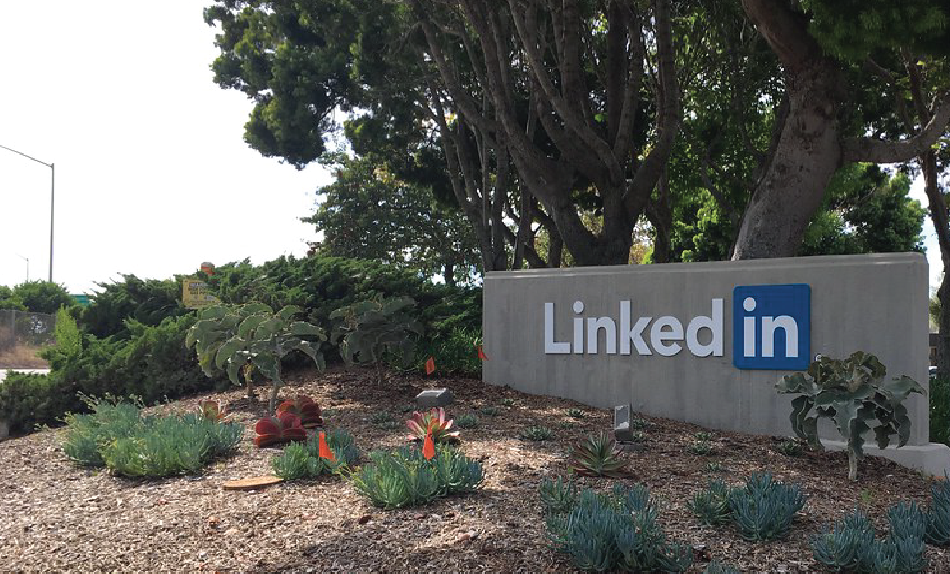 Come potresti usare Linkedin per creare lavoro?